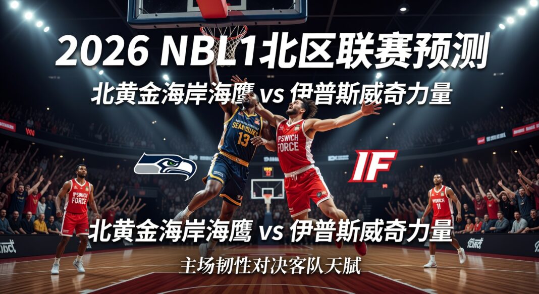 二零二六年NBL1北区联赛预测:北黄金海岸海鹰队主场对阵伊普斯威奇力量队深度分析